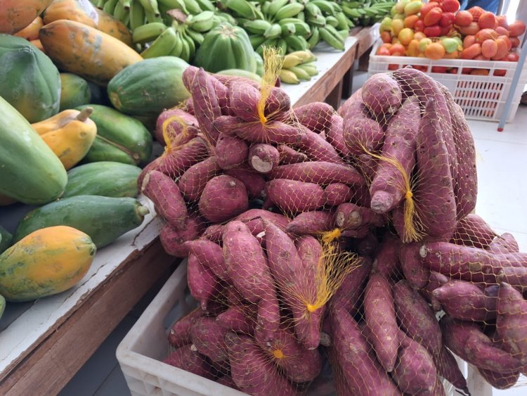 Escolas da Rede Municipal de Floriano são reabastecidas com produtos da alimentação escolar