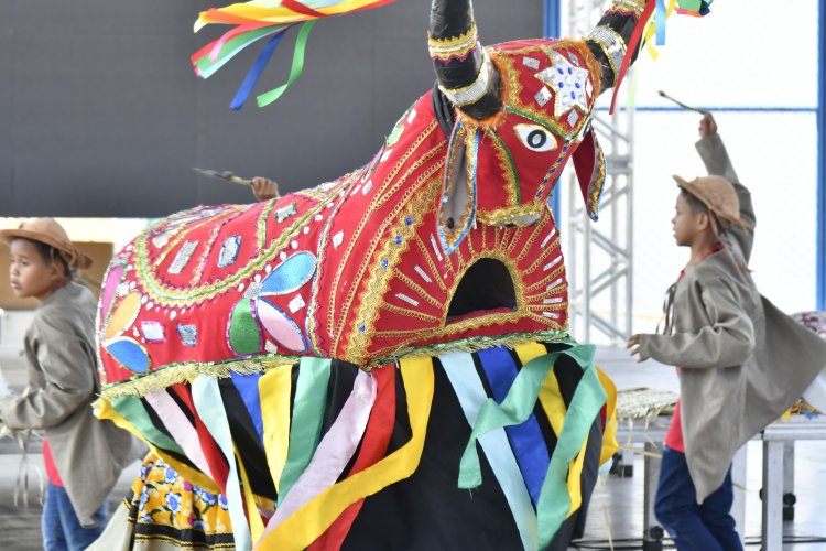 Dia do Folclore brasileiro é comemorado com apresentações culturais em Floriano