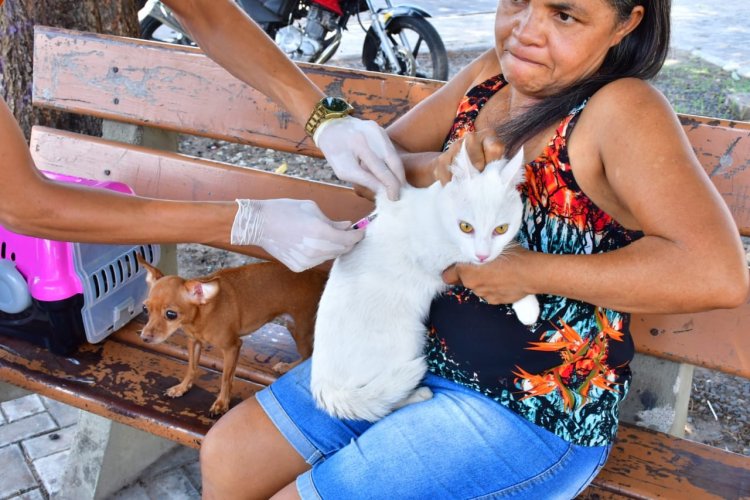 Saúde realiza com sucesso o Dia D de Vacinação Antirrábica com mais de 11 mil doses aplicadas