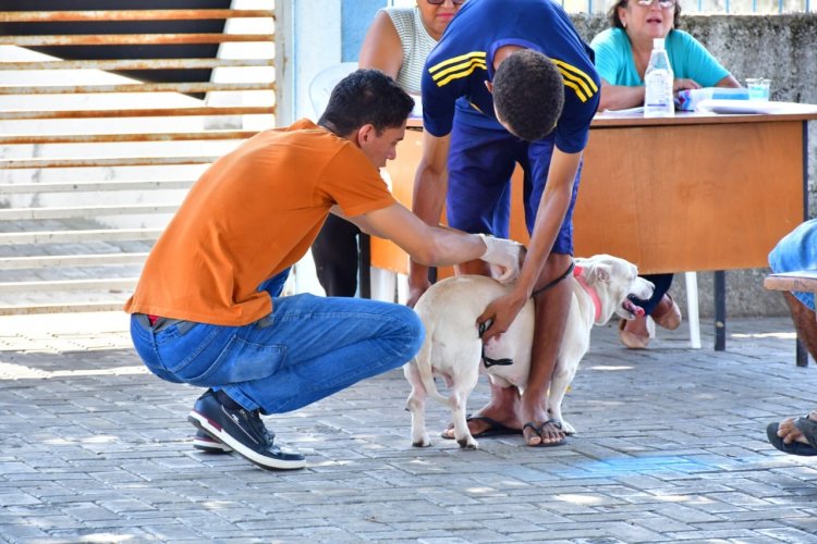 Saúde realiza com sucesso o Dia D de Vacinação Antirrábica com mais de 11 mil doses aplicadas